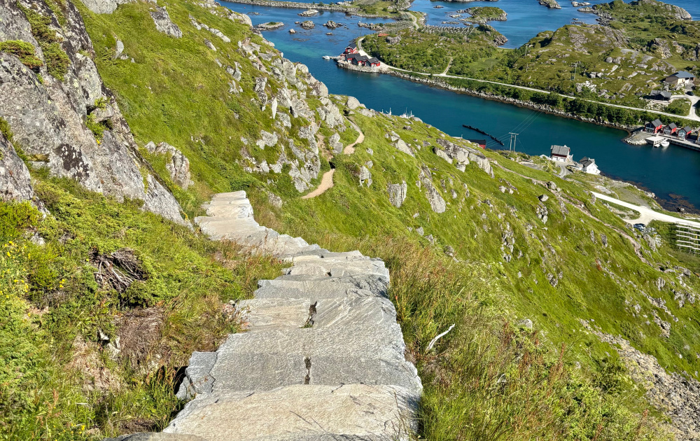 Turtall i Lofoten besøksforvaltning