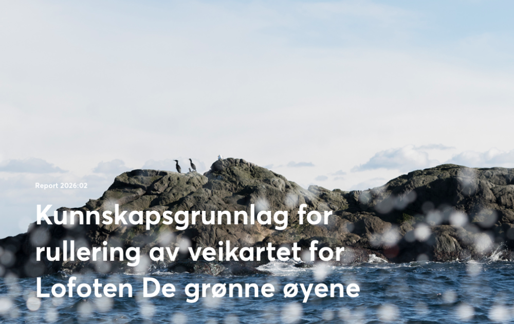 kunnskapsgrunnlag