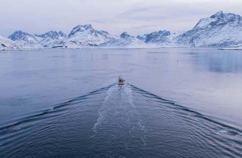Lofoten de grønne øyene og zero kyst
