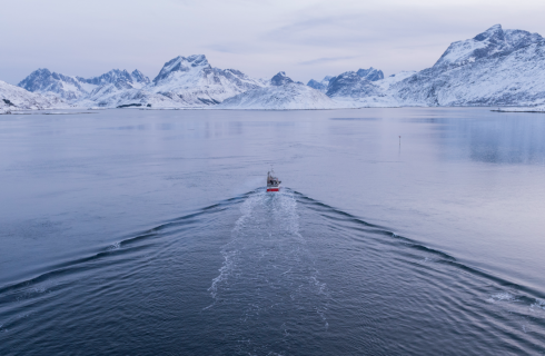 Lofoten de grønne øyene og zero kyst 