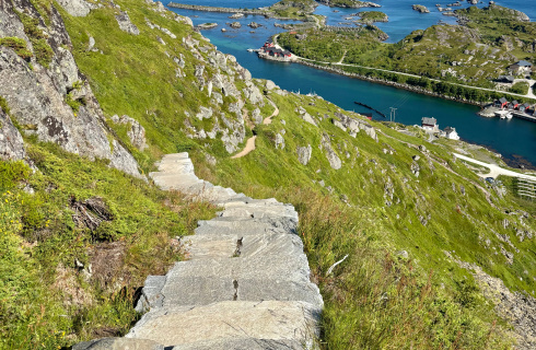 Turtall i Lofoten besøksforvaltning